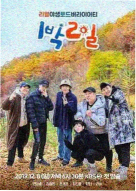归期未定封面
